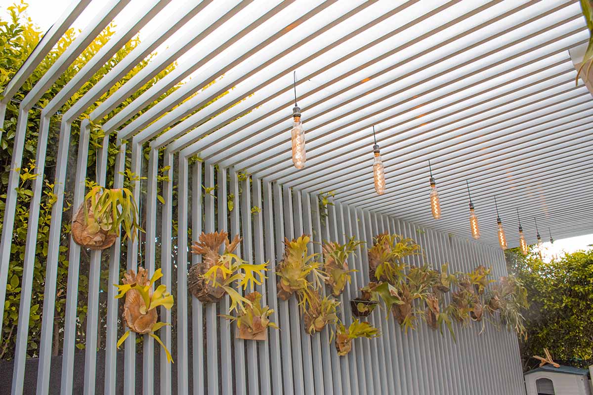 decoracion hacienda-h5