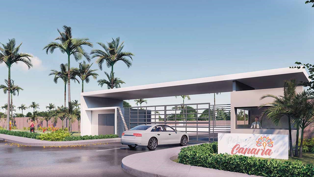 presentacion-palmas-de-canarias-2